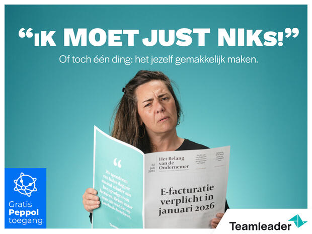 Partnership Teamleader