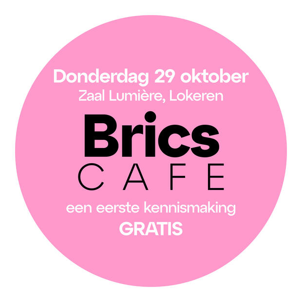 Brics - roze bol